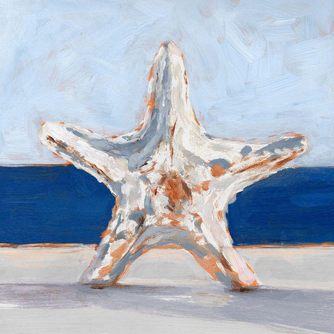 Starfish By the Sea White Modern Wood Framed Art Print with Double Matting by Harper, Ethan