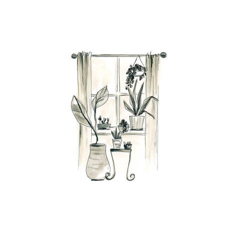 The Plant Ladys Window I Black Modern Wood Framed Art Print with Double Matting by Vess, June Erica