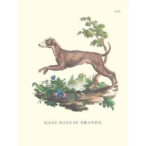 French Dogs I White Modern Wood Framed Art Print by Unknown