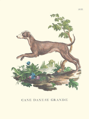 French Dogs I Black Ornate Wood Framed Art Print with Double Matting by Unknown