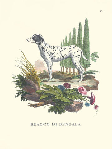 French Dogs V White Modern Wood Framed Art Print with Double Matting by Unknown