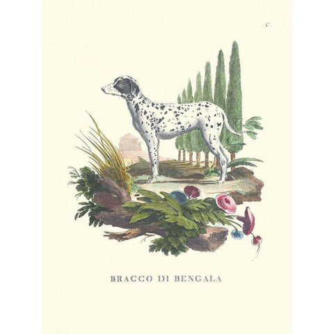 French Dogs V Black Modern Wood Framed Art Print by Unknown