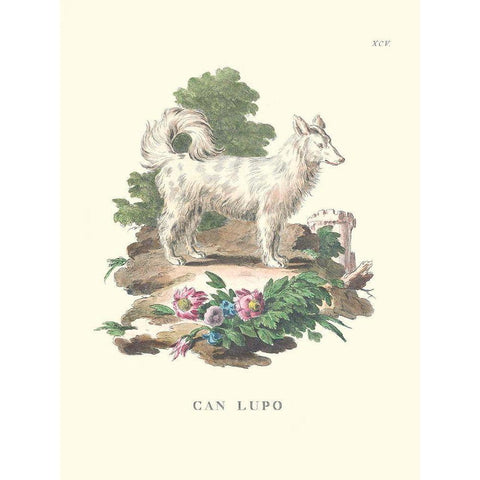 French Dogs VII Black Modern Wood Framed Art Print with Double Matting by Unknown