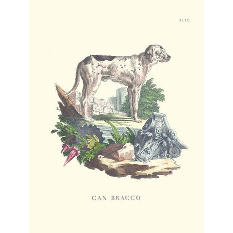 French Dogs VIII Black Modern Wood Framed Art Print by Unknown