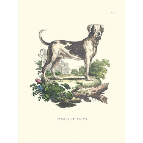 French Dogs IX Black Modern Wood Framed Art Print with Double Matting by Unknown