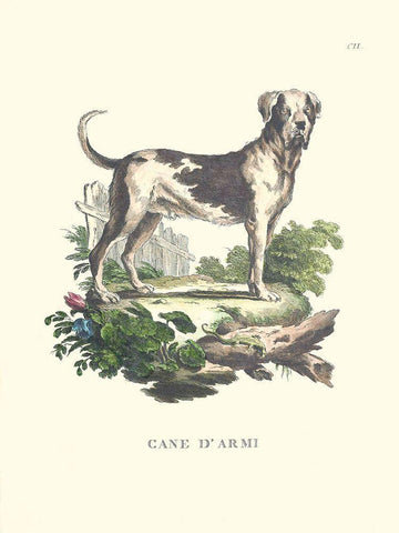 French Dogs IX Black Ornate Wood Framed Art Print with Double Matting by Unknown