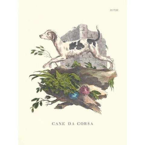 French Dogs XI Gold Ornate Wood Framed Art Print with Double Matting by Unknown