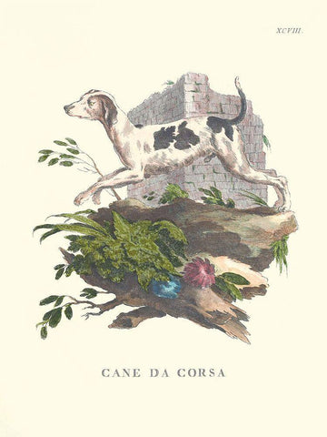 French Dogs XI Black Ornate Wood Framed Art Print with Double Matting by Unknown