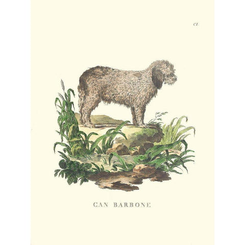 French Dogs XII Black Modern Wood Framed Art Print by Unknown