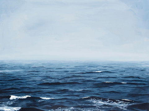 Grayscale Seascape IV Black Ornate Wood Framed Art Print with Double Matting by Willett, Michael