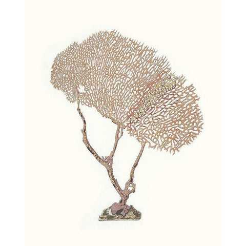 Terra Cotta Coral V Black Modern Wood Framed Art Print with Double Matting by Unknown