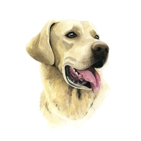 Sunny Boy I White Modern Wood Framed Art Print by Popp, Grace