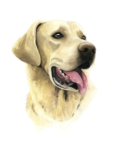 Sunny Boy I Black Ornate Wood Framed Art Print with Double Matting by Popp, Grace