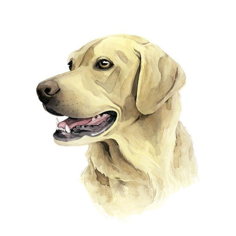 Sunny Boy II White Modern Wood Framed Art Print by Popp, Grace