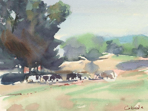 Cows Grazing-Somerset White Modern Wood Framed Art Print with Double Matting by Calcasola, Stephen