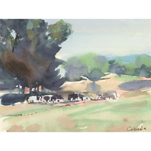 Cows Grazing-Somerset White Modern Wood Framed Art Print by Calcasola, Stephen