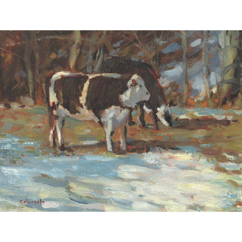 Cows Grazing-Somerset III Black Modern Wood Framed Art Print by Calcasola, Stephen