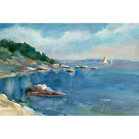 Coastal Maine White Modern Wood Framed Art Print by Calcasola, Stephen