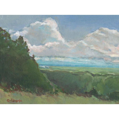 Vista View White Modern Wood Framed Art Print by Calcasola, Stephen