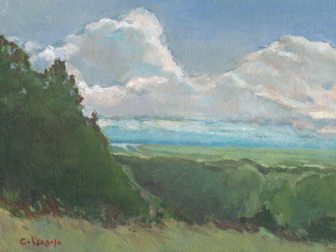 Vista View Black Ornate Wood Framed Art Print with Double Matting by Calcasola, Stephen