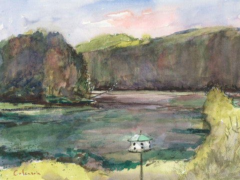 Lakehouse View Black Ornate Wood Framed Art Print with Double Matting by Calcasola, Stephen