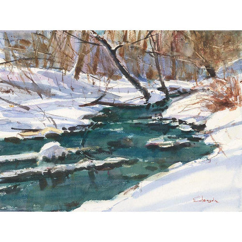 Winter Stream Black Modern Wood Framed Art Print with Double Matting by Calcasola, Stephen