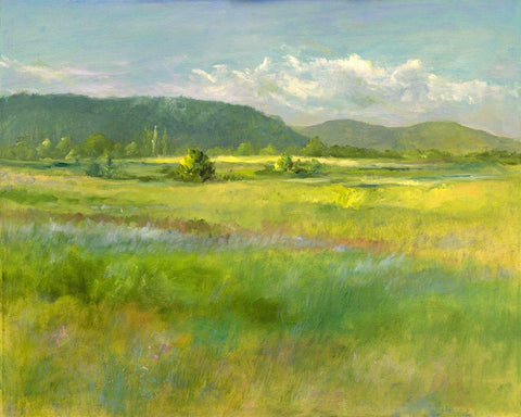 Hills Beyond the Meadow Black Ornate Wood Framed Art Print with Double Matting by Finch, Sheila
