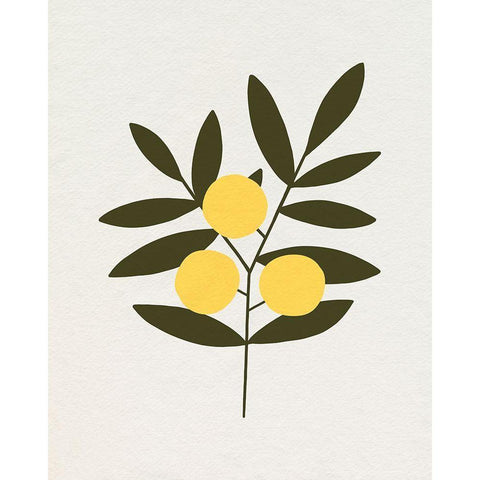 Trois Oranges I White Modern Wood Framed Art Print by Caroline, Emma