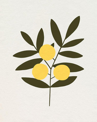 Trois Oranges I White Modern Wood Framed Art Print with Double Matting by Caroline, Emma