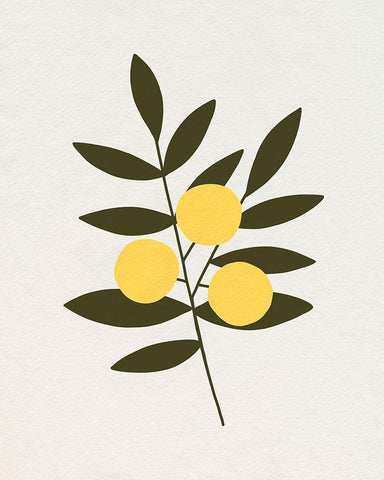 Trois Oranges II White Modern Wood Framed Art Print with Double Matting by Caroline, Emma