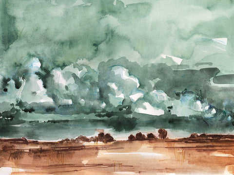 Drifting Rainclouds II Black Ornate Wood Framed Art Print with Double Matting by Parker, Jennifer Paxton