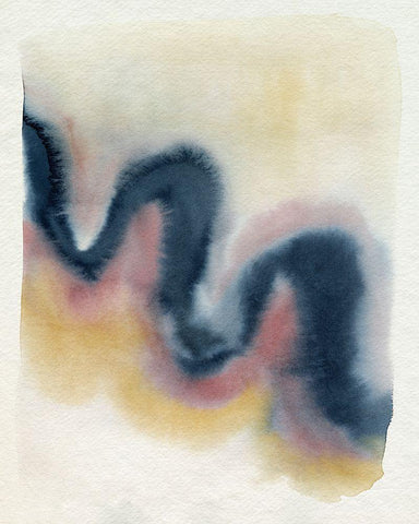 Wavy Pitch I Black Ornate Wood Framed Art Print with Double Matting by Popp, Grace