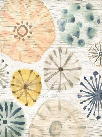 Ocean Urchins I White Modern Wood Framed Art Print with Double Matting by Vess, June Erica