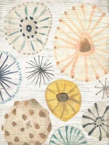 Ocean Urchins II Black Ornate Wood Framed Art Print with Double Matting by Vess, June Erica