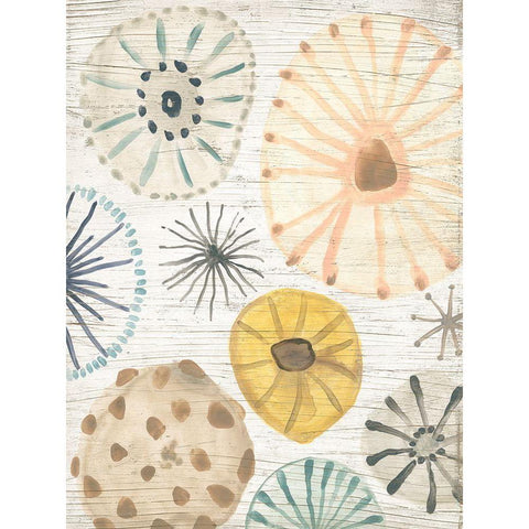 Ocean Urchins II Gold Ornate Wood Framed Art Print with Double Matting by Vess, June Erica