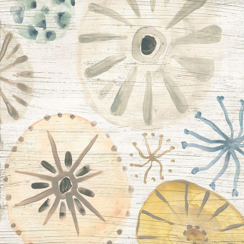 Ocean Urchins III White Modern Wood Framed Art Print with Double Matting by Vess, June Erica