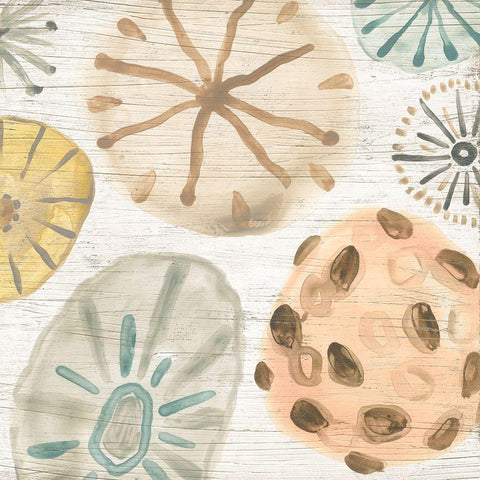 Ocean Urchins IV White Modern Wood Framed Art Print by Vess, June Erica