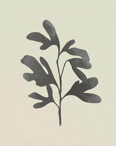 Ink Oak Branch II White Modern Wood Framed Art Print with Double Matting by Caroline, Emma