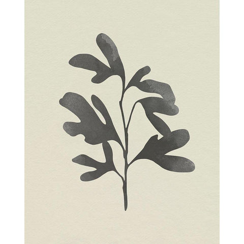 Ink Oak Branch II Black Modern Wood Framed Art Print by Caroline, Emma