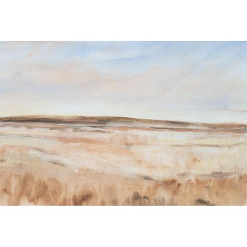 Drylands II White Modern Wood Framed Art Print by OToole, Tim