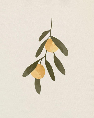 Sweet Clementines II White Modern Wood Framed Art Print with Double Matting by Caroline, Emma