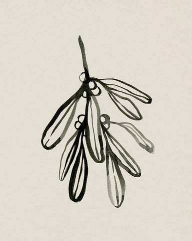 Mistletoe Sketch I Black Ornate Wood Framed Art Print with Double Matting by Caroline, Emma