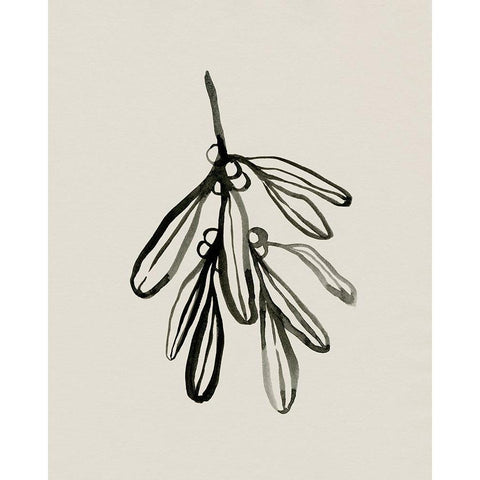 Mistletoe Sketch I Black Modern Wood Framed Art Print with Double Matting by Caroline, Emma