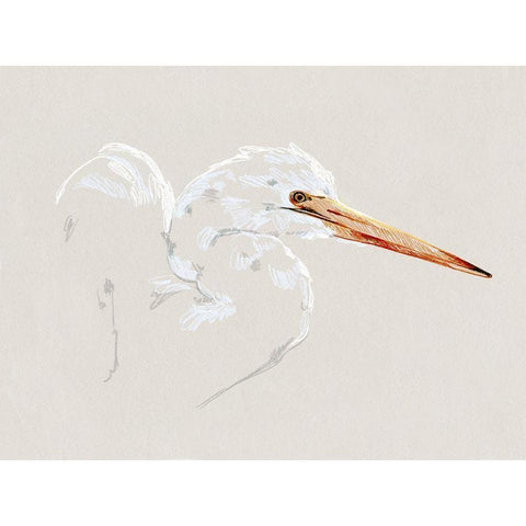 Bright Egret Sketch I Gold Ornate Wood Framed Art Print with Double Matting by Caroline, Emma