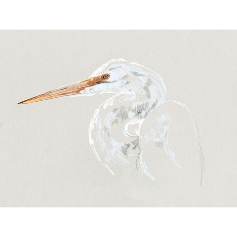 Bright Egret Sketch II Black Modern Wood Framed Art Print with Double Matting by Caroline, Emma