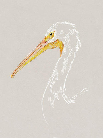 Bright Pelican Sketch I Black Ornate Wood Framed Art Print with Double Matting by Caroline, Emma