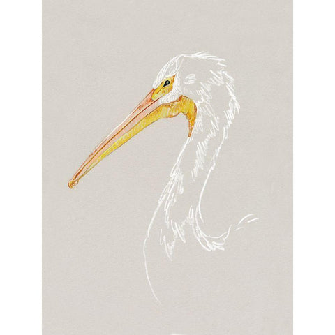 Bright Pelican Sketch I White Modern Wood Framed Art Print by Caroline, Emma