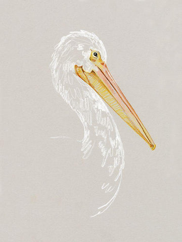 Bright Pelican Sketch II White Modern Wood Framed Art Print with Double Matting by Caroline, Emma