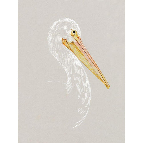 Bright Pelican Sketch II Gold Ornate Wood Framed Art Print with Double Matting by Caroline, Emma