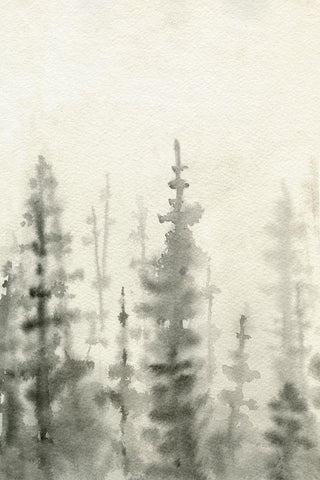 Ink Pine Woods I White Modern Wood Framed Art Print with Double Matting by Caroline, Emma